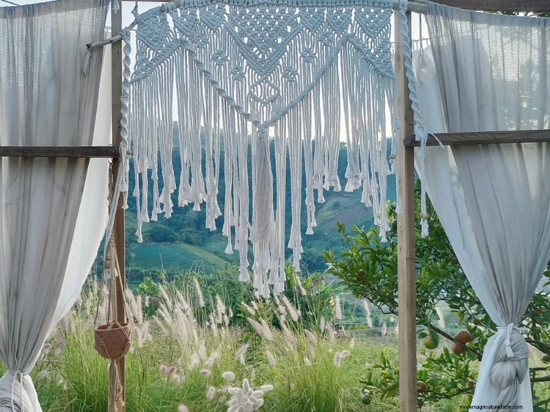 23 Natural Backyard Privacy Ideas to Enhance Your Landscape