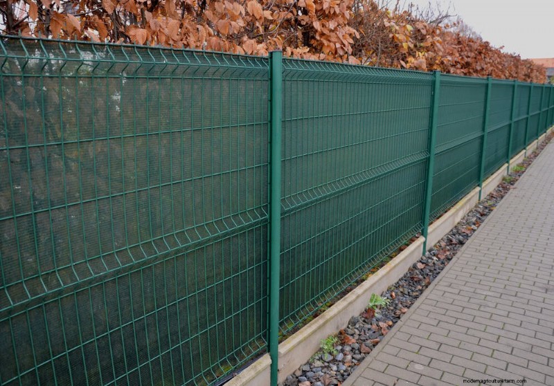 23 Natural Backyard Privacy Ideas to Enhance Your Landscape