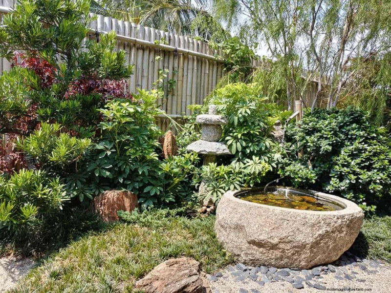 Zen Garden Ideas: Create a Peaceful Outdoor Retreat This Spring
