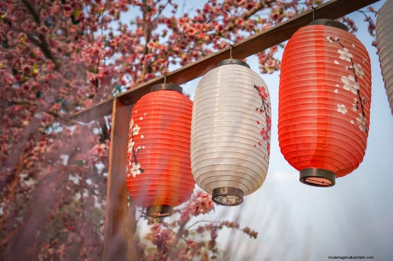 Zen Garden Ideas: Create a Peaceful Outdoor Retreat This Spring