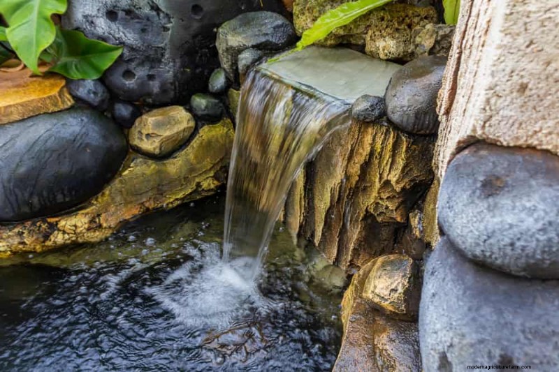 Zen Garden Ideas: Create a Peaceful Outdoor Retreat This Spring