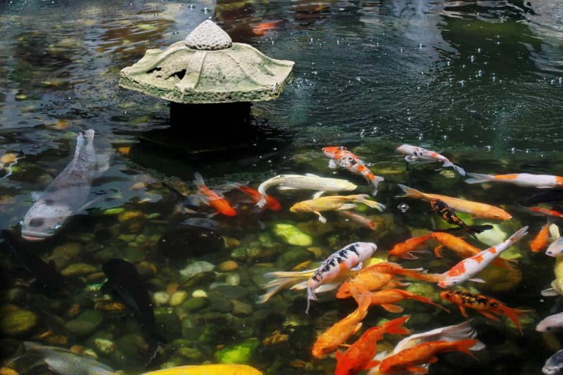 Zen Garden Ideas: Create a Peaceful Outdoor Retreat This Spring