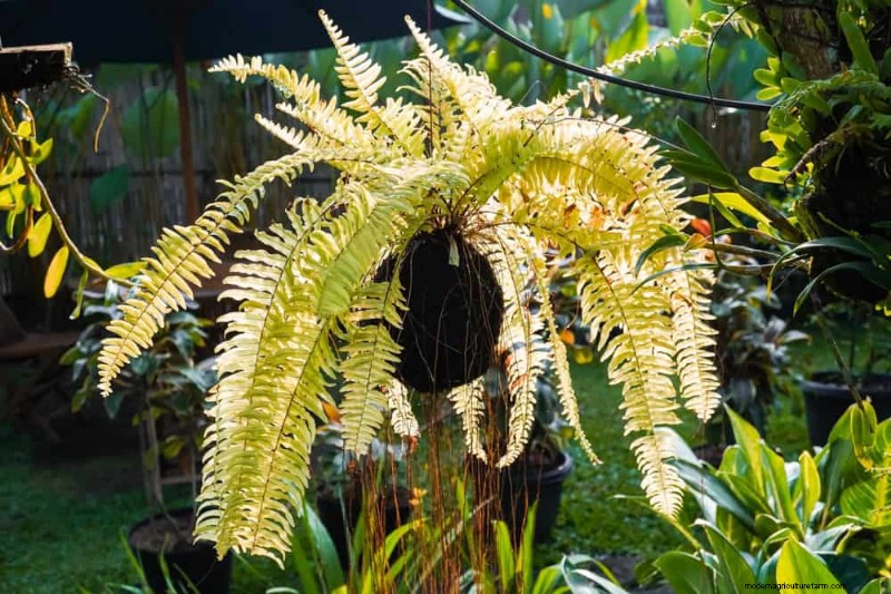 Zen Garden Ideas: Create a Peaceful Outdoor Retreat This Spring