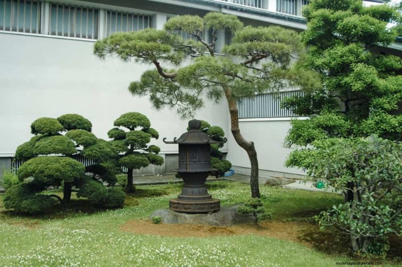 Zen Garden Ideas: Create a Peaceful Outdoor Retreat This Spring