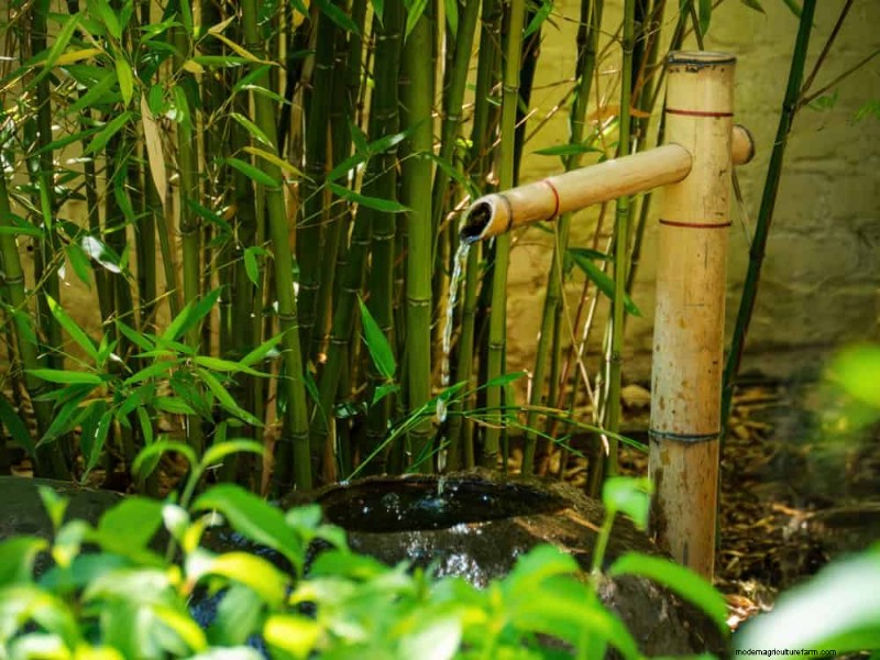 Zen Garden Ideas: Create a Peaceful Outdoor Retreat This Spring