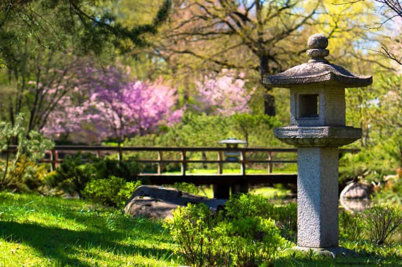 Zen Garden Ideas: Create a Peaceful Outdoor Retreat This Spring