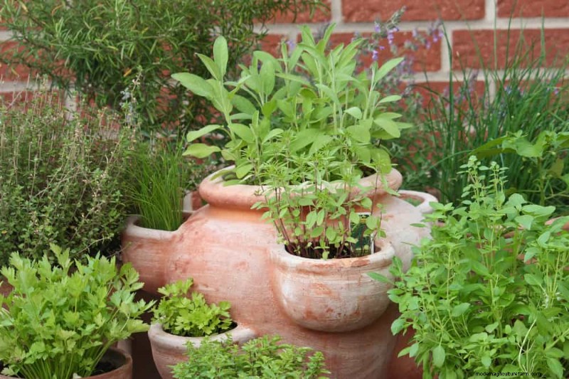 Quick & Easy Gardening Projects: Refresh Your Garden in an Afternoon