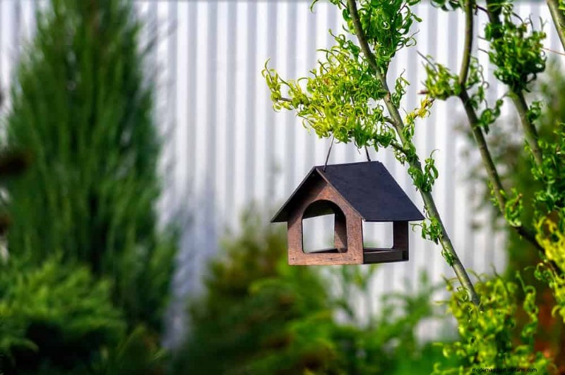 Quick & Easy Gardening Projects: Refresh Your Garden in an Afternoon