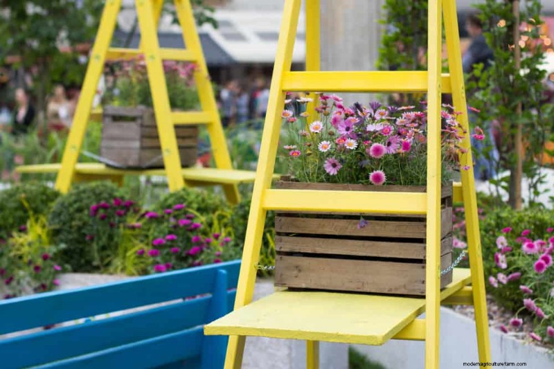 Quick & Easy Gardening Projects: Refresh Your Garden in an Afternoon