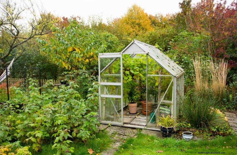 Quick & Easy Gardening Projects: Refresh Your Garden in an Afternoon