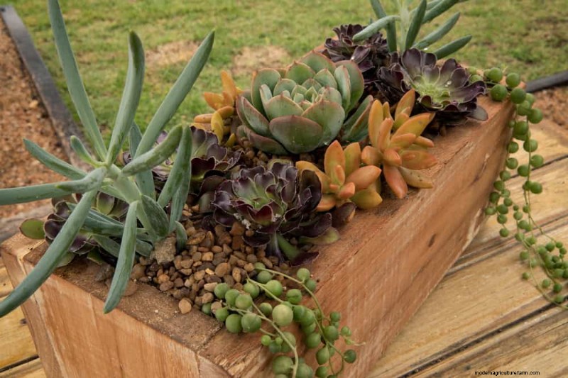 Quick & Easy Gardening Projects: Refresh Your Garden in an Afternoon