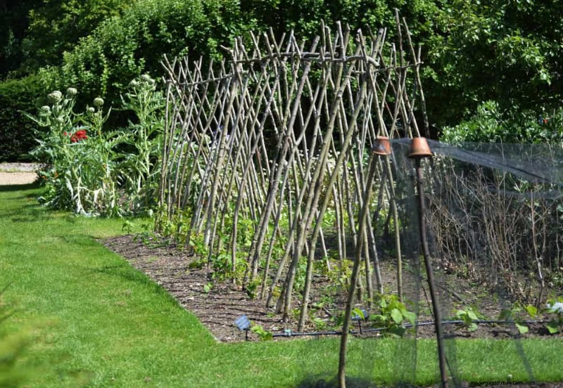 Quick & Easy Gardening Projects: Refresh Your Garden in an Afternoon