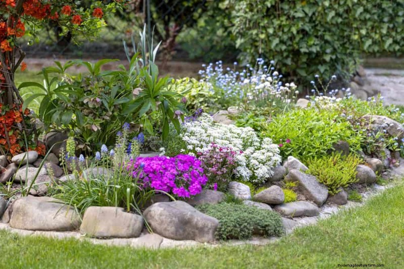 Quick & Easy Gardening Projects: Refresh Your Garden in an Afternoon