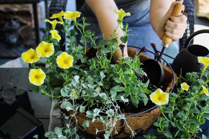 Quick & Easy Gardening Projects: Refresh Your Garden in an Afternoon