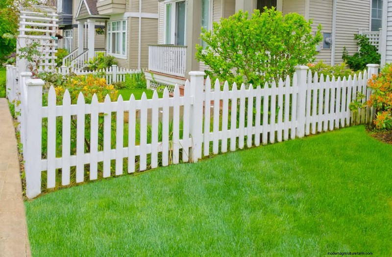 Quick & Easy Gardening Projects: Refresh Your Garden in an Afternoon