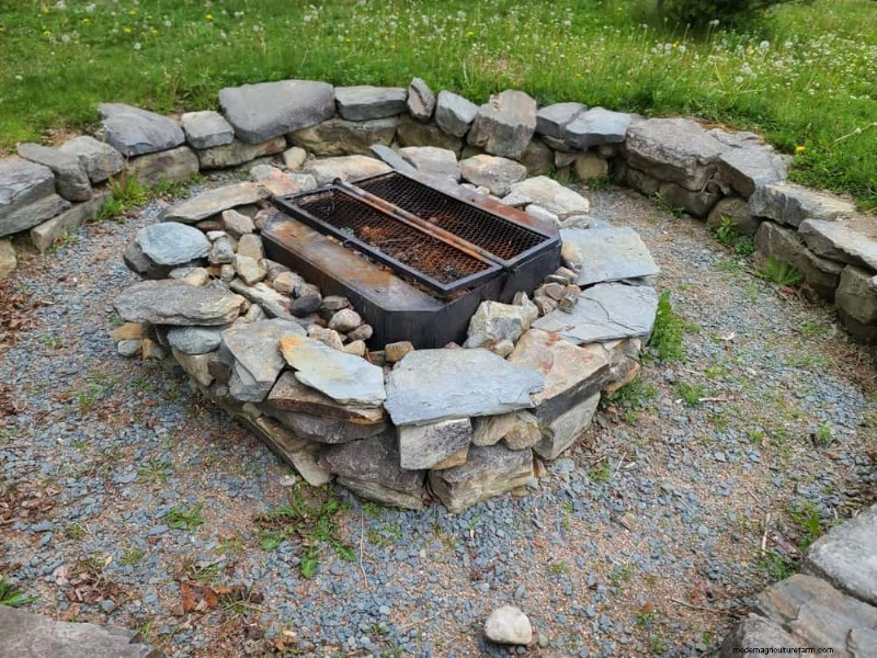 Quick & Easy Gardening Projects: Refresh Your Garden in an Afternoon