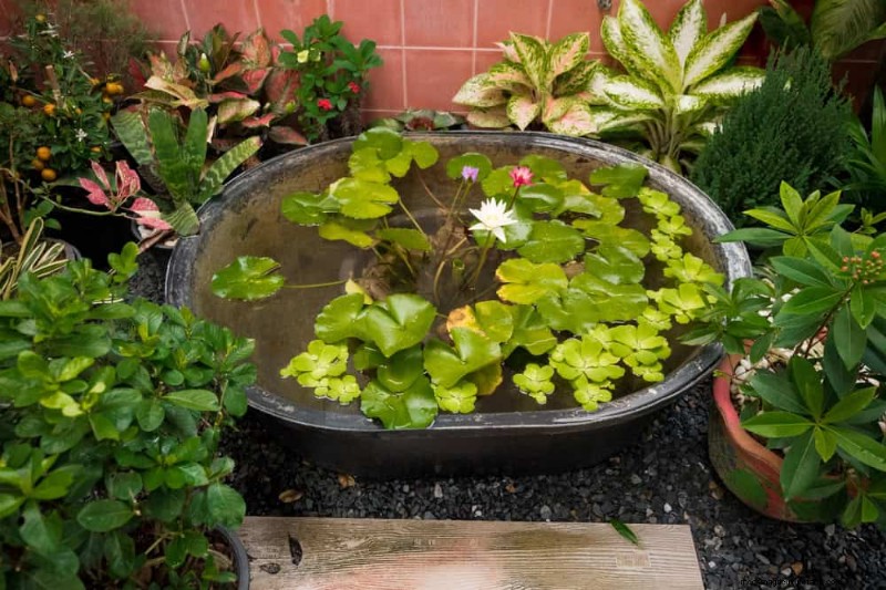 Quick & Easy Gardening Projects: Refresh Your Garden in an Afternoon