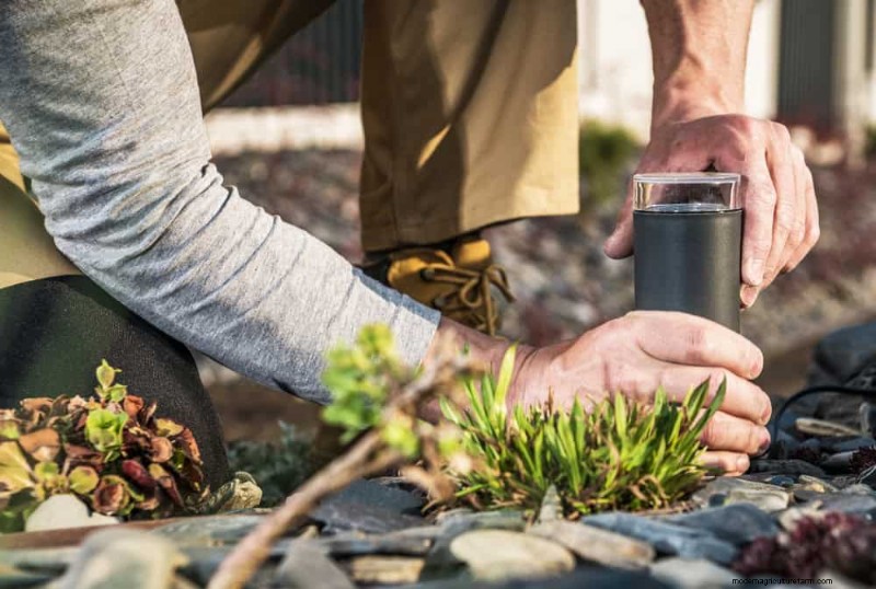 Quick & Easy Gardening Projects: Refresh Your Garden in an Afternoon