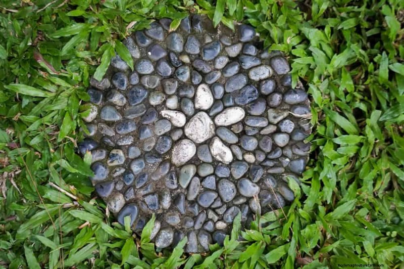 Quick & Easy Gardening Projects: Refresh Your Garden in an Afternoon