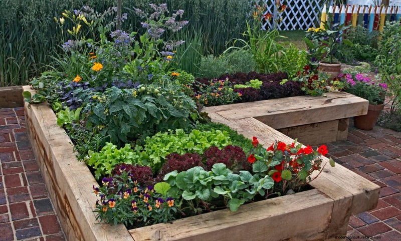 Early Spring Planting: 26 Best Seeds for a Head Start