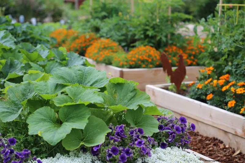 Early Spring Planting: 26 Best Seeds for a Head Start
