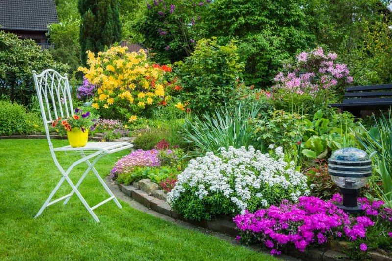 Top 22 Ground Cover Plants for a Beautiful Spring Garden