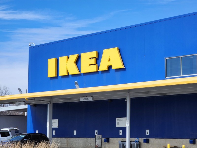 IKEA Plant Section: Affordable Houseplants for Every Home