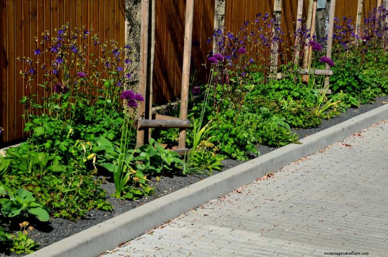 Protect Your Garden: 19 Natural Slug & Snail Control Methods