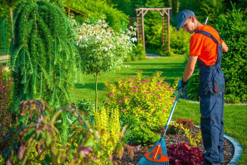 Protect Your Garden: 19 Natural Slug & Snail Control Methods