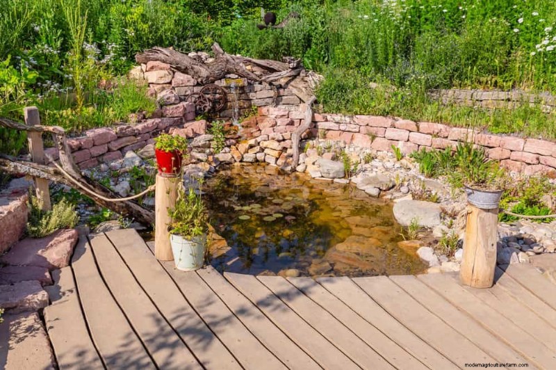 Sustainable Cutting Garden: Growing Native & Foraged Flowers