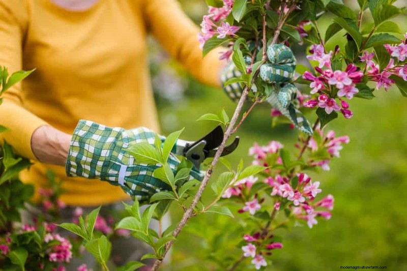 Sustainable Cutting Garden: Growing Native & Foraged Flowers