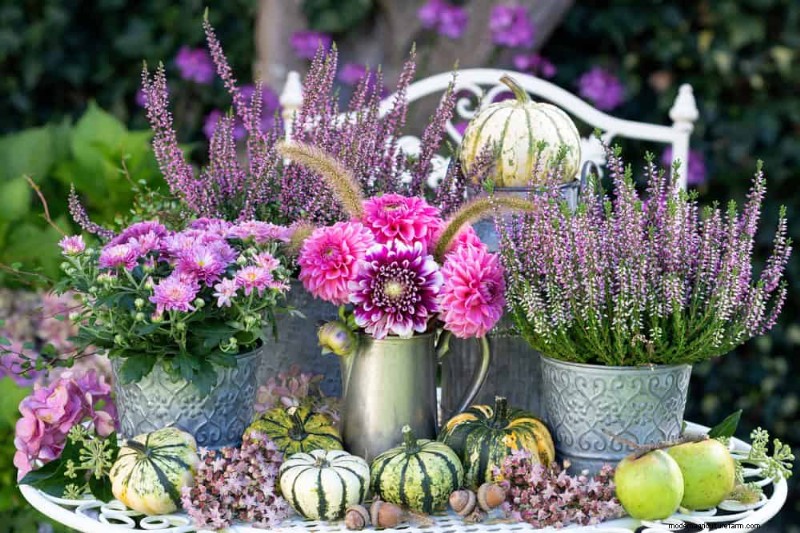 Sustainable Cutting Garden: Growing Native & Foraged Flowers