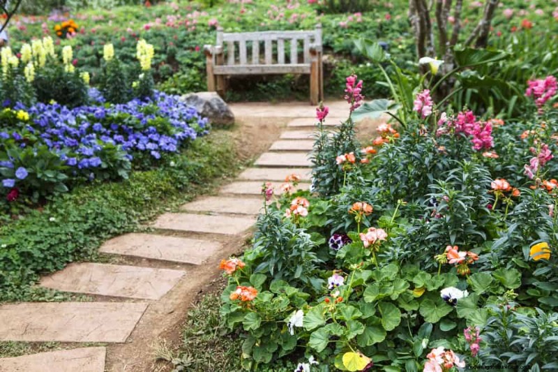 Sustainable Cutting Garden: Growing Native & Foraged Flowers