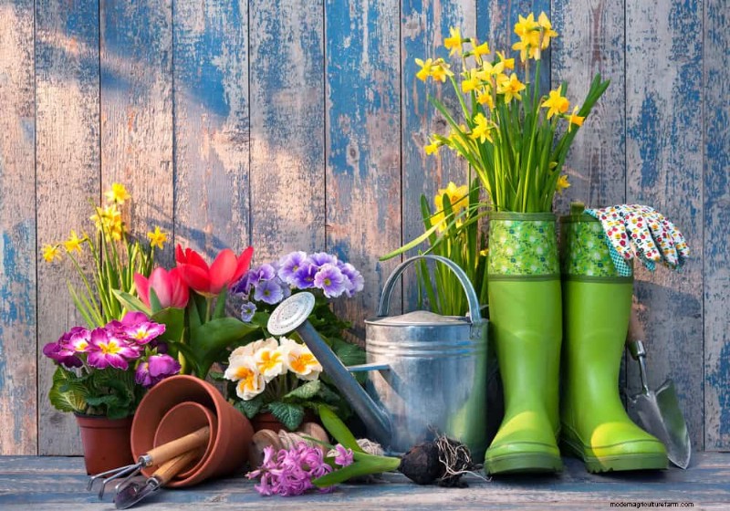 Top Spring Garden Tools: Essential Equipment for a Thriving Garden