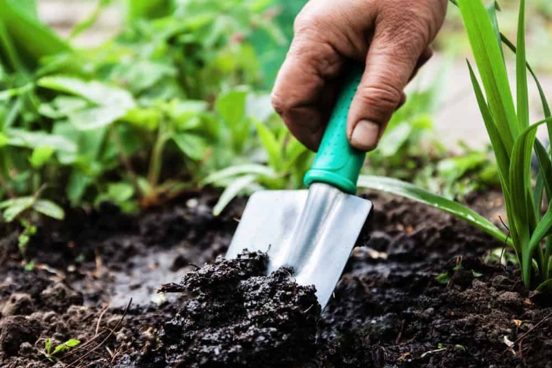 Top Spring Garden Tools: Essential Equipment for a Thriving Garden