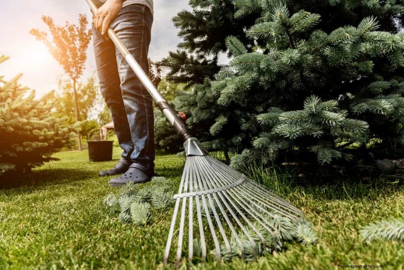 Top Spring Garden Tools: Essential Equipment for a Thriving Garden