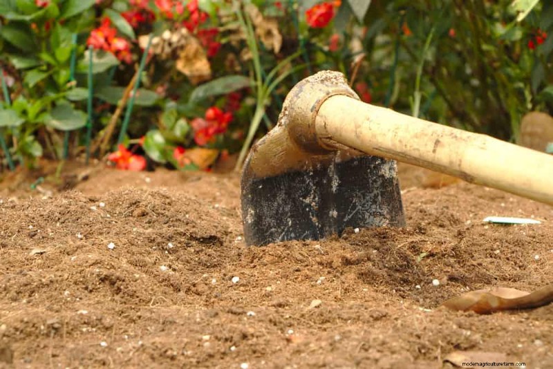 Top Spring Garden Tools: Essential Equipment for a Thriving Garden