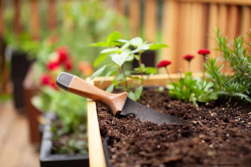 Top Spring Garden Tools: Essential Equipment for a Thriving Garden