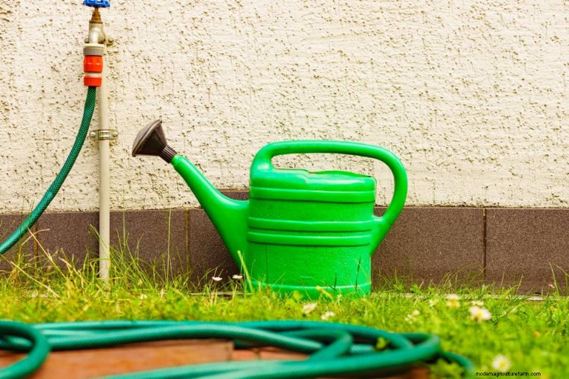 Top Spring Garden Tools: Essential Equipment for a Thriving Garden