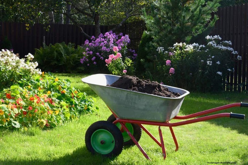 Top Spring Garden Tools: Essential Equipment for a Thriving Garden