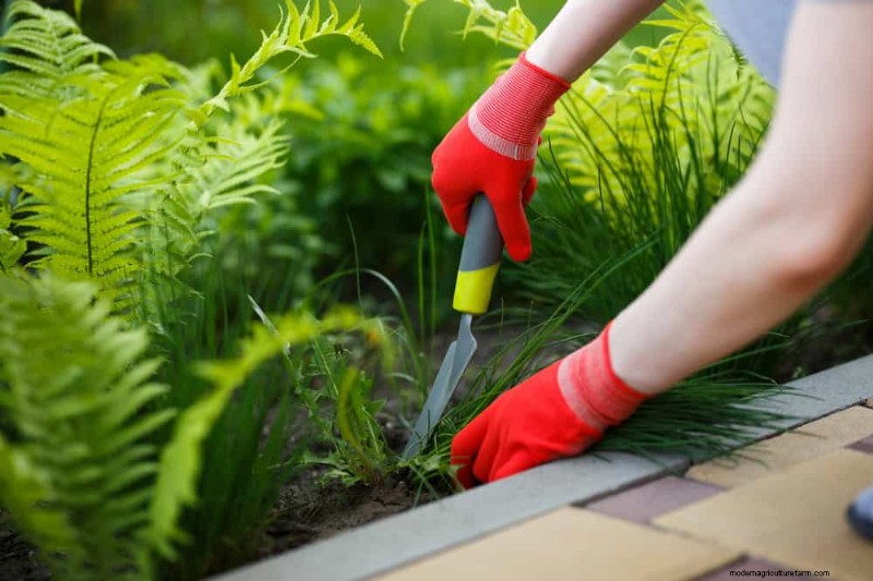 Top Spring Garden Tools: Essential Equipment for a Thriving Garden