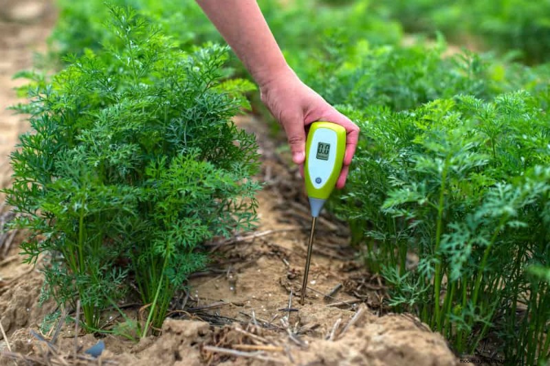 Top Spring Garden Tools: Essential Equipment for a Thriving Garden