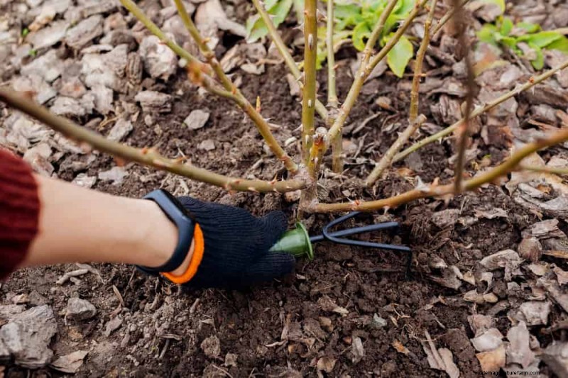 Top Spring Garden Tools: Essential Equipment for a Thriving Garden