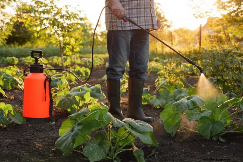 Top Spring Garden Tools: Essential Equipment for a Thriving Garden