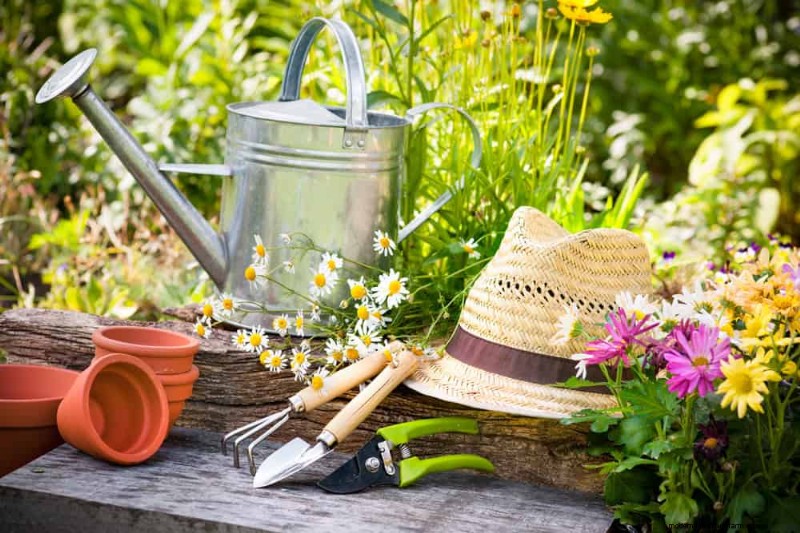 Top Spring Garden Tools: Essential Equipment for a Thriving Garden