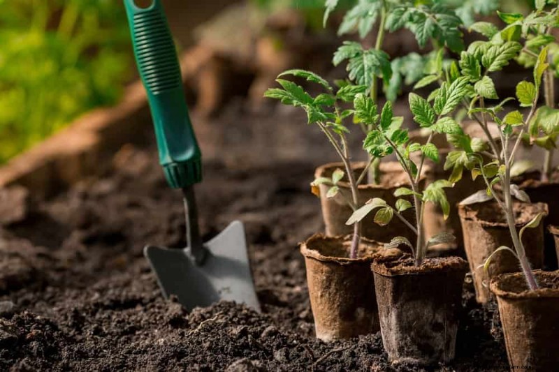 Protect Your Garden: 21 Proven Methods for Spring Pest Control