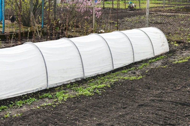 Protect Your Garden: 21 Proven Methods for Spring Pest Control