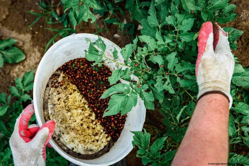 Protect Your Garden: 21 Proven Methods for Spring Pest Control