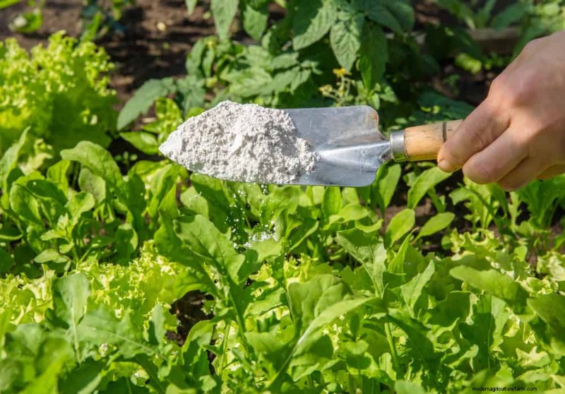 Protect Your Garden: 21 Proven Methods for Spring Pest Control