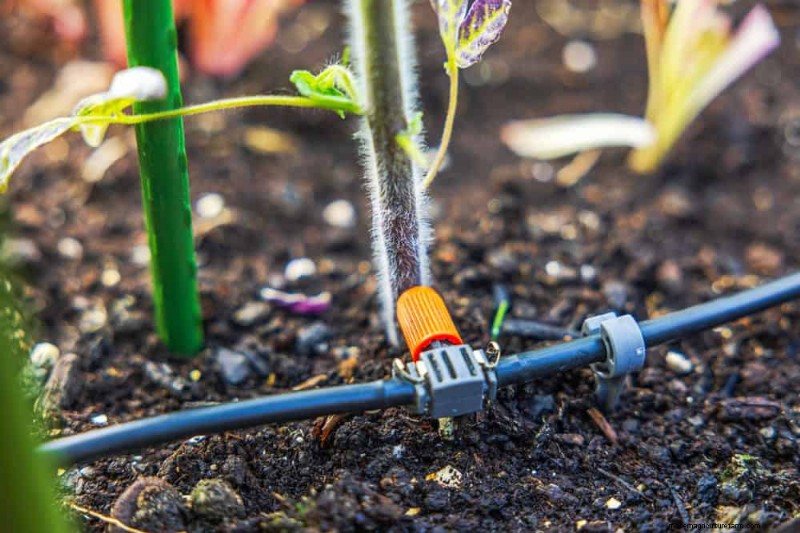 Protect Your Garden: 21 Proven Methods for Spring Pest Control
